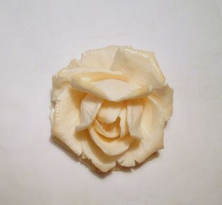 WunderschÖne Erbacher Rose Aus Bein.  SÜddeutschland Um 1900 Bild