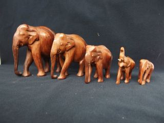 F87) Orginal Holz Elefant Herde Elefanten 5 Tier Geschnitzt Ca 669 Gr Bild