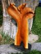 Skulptur - Phönix,  Apfelholzskulptur,  Sculpture,  Woodcarving,  Applewood Ab 2000 Bild 6