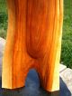 Skulptur - Phönix,  Apfelholzskulptur,  Sculpture,  Woodcarving,  Applewood Ab 2000 Bild 8