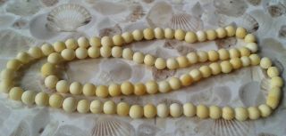 Antike Kette Bein Feine Arbeit Erbach Perlenkette Art Deco Nachlass Necklace @@@ Bild
