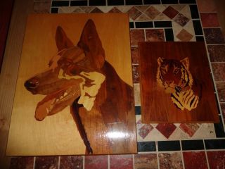 ältere Wandbilder Schäferhund Tiger Intarsienbild Intarsien Holz Einlegearbeit Bild
