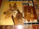 ältere Wandbilder Schäferhund Tiger Intarsienbild Intarsien Holz Einlegearbeit Holzarbeiten Bild 1