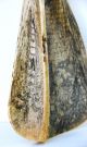 Absolute Rarität,  Scrimshaw Der Batak Aus Sumatra,  Amulett,  Schriftzeichen Antik Beinarbeiten Bild 3