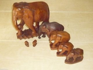 Echt Holz Figur Skulptur Elefant 7st Elefanten Herde Handgeschnitzt Hö 26cm - 4cm Bild