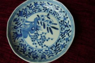 Kleiner Teller Porzellan Chinesische Handarbeit Blau Weiß Bild