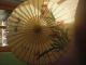 6 Große Asiatische Sonnenschirme / Papierschirm / Reispapier / Dekoration Internationale Antiq. & Kunst Bild 7