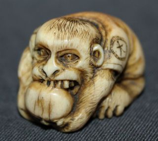 Japanese Antique 19th Cent Netsuke,  Monkey From Antler Bild