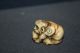 Japanese Antique 19th Cent Netsuke,  Monkey From Antler Asiatika: Japan Bild 2