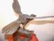 Sehr Alter Mehrteilig Bronze Adler Falke ? Japan Meiji Censer Räuchergefäß Bronze Bild 7