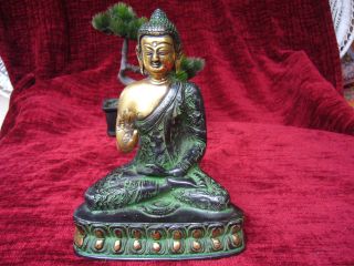 Buddha Aus Bronze Bild