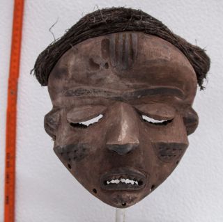 Afrika,  Maske Der Pende,  D.  R.  Kongo Bild