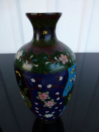 Wunderschöne Cloisonné Vase Japan Meiji Emaille Bronze Bild