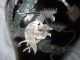 Metall Email Kupfer Vase Schwarz Mit Perlmutt Motiv Drachen Asiatika: China Bild 3