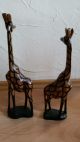 Afrikanische Figuren Giraffen Aus Massivholz,  Handgeschnitzt Westafrika Entstehungszeit nach 1945 Bild 3
