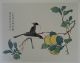 Chinesische Farbholzschnitte Mappe Mit 8 Farbigen Blättern Originaldrucke 1950-1999 Bild 3