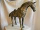 Großes Pferd Aus Bronze China 4 Kg. ,  L.  50 Cm,  H.  36 Cm Wie Alt ? Tang Pferd? 1900-1949 Bild 2