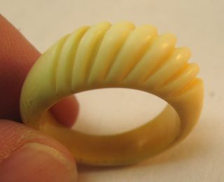 Seltener Antiker Bein - Ring Von Schlichter Eleganz - Ringgröße 58 (18,  8 Mm) Bild