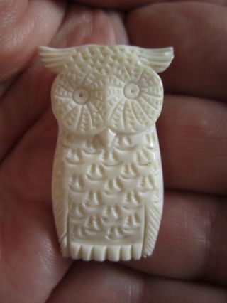 Süße Eule Brosche Brooch Bein Erbach Geschnitzt Sweet Owl Bone Handmade Bild