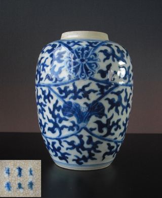 Perfect 19th C.  Chinesische Porzellan - Vase/chinese Porcelain Vase/jar - Kangxi M Bild
