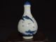 Altes Chinesische Blau - Weiß - Porzellan,  Handbemalt Flowere Snuff Bottle Asiatika: China Bild 1