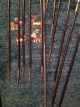 Pfeil Und Bogen,  Holz Bambus Handarbeit Indianer Ethno Deko 160cm - M.  Köcher Top Jagd & Fischen Bild 3