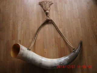 Trinkhorn,  Horn,  Gehörn Bild