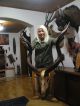 Kapitaler Großer Kudu Gehörn Kuduantilope Auf Dekobrett Antilope Afrika Gazelle Jagd & Fischen Bild 2