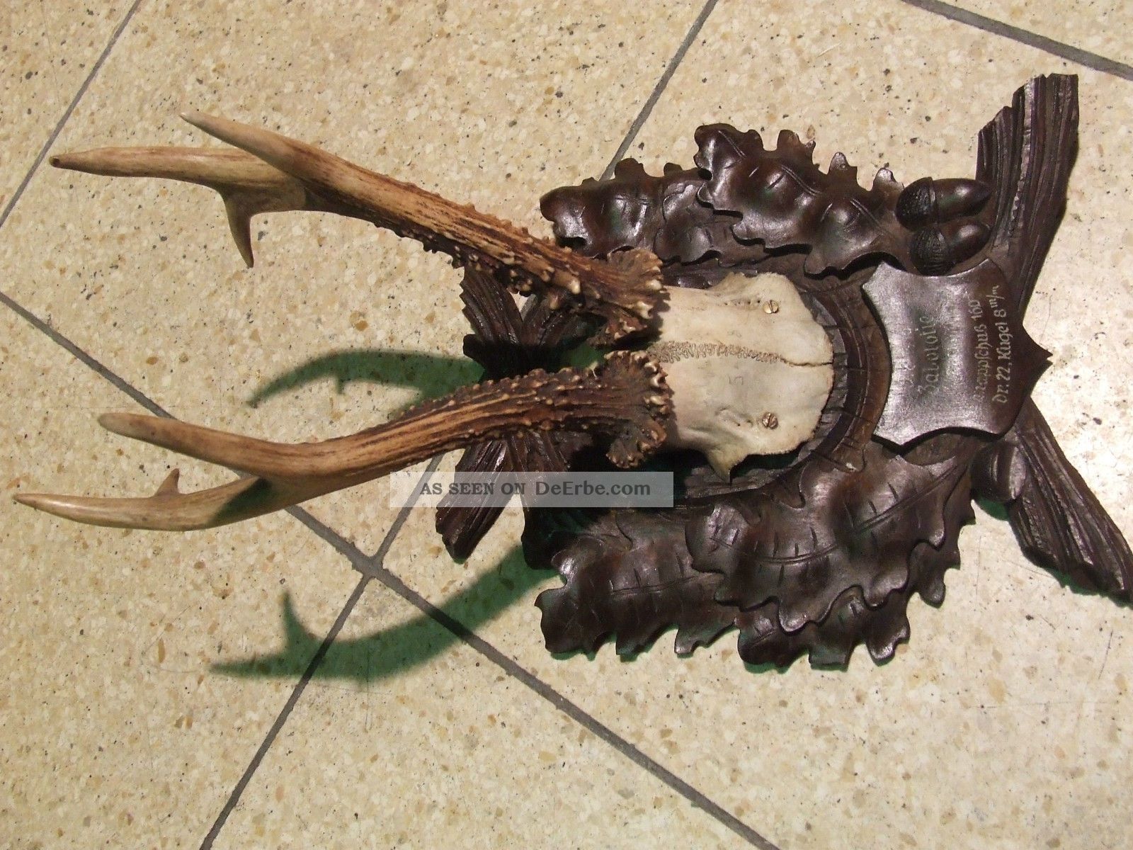 Antik Rehgeweih Rehbock Jagdtrophäe Holz Brett Geschnitten Von 1910 Jagd & Fischen Bild