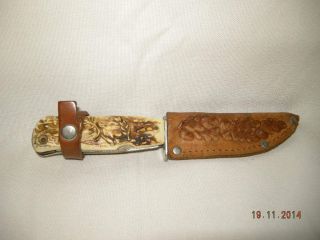 Altes Antikes Jagdmesser Hornschalen D.  B.  G.  M.  Decora Solingen Mit Lederscheide Bild