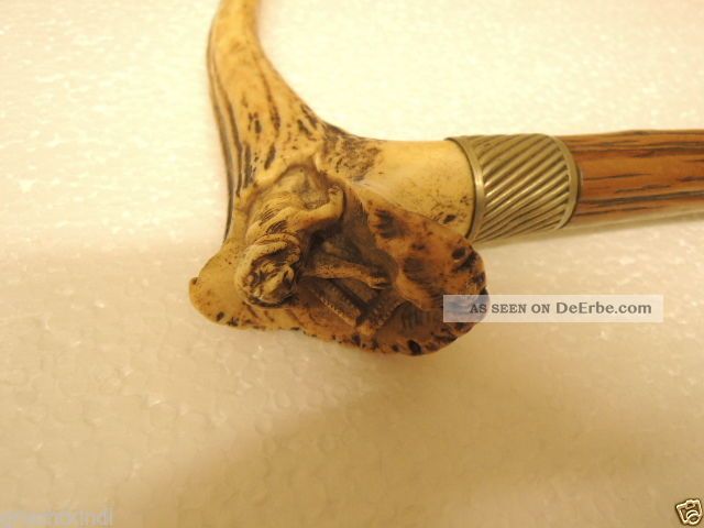 Alter Schöner Spazierstock Mit Geschnitzten Geweihgriff Mit Hund Um 1900 Accessoires Bild