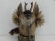 Wolpertinger Wolperer Bisam Wolpi Bock Hüttengaudi Gaudi Geburtstag Geschenkidee Jagd & Fischen Bild 1