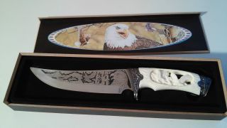 Wunderschönes Sammler - Messer Mit Adler - Motiv,  Reich Verziert Bild