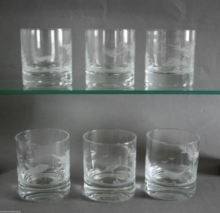 6x Wassergläser Glas Mit Jagd Motiv,  Geschliffen,  Hirsch Rehbock Keiler Auerhahn Bild