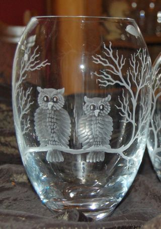 Schöne Vase Mit Eulen Uhu Kautz Owl Handgeschliffen Bild