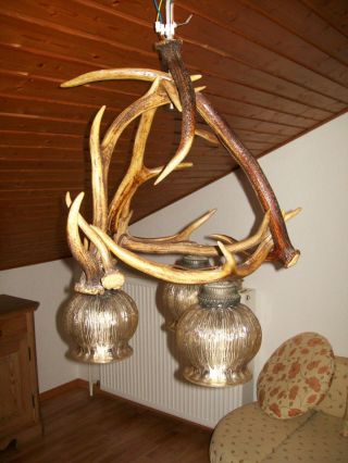 Geweihlampe - Hirschgeweih - Jagd Stube Jäger Lampe Für Hütte Geweih 3 Leuchten Bild
