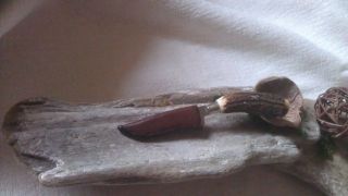 Sehr Schönes Kleines Hirschhornmesser Mit Versteck Bild