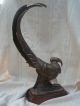 Große Ausdrucksstarke Jugendstil Bronze ??? Figur Skulptur Fasan 8,  7 Kg Jagd Bronze Bild 5