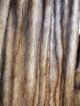 Amerik.  Bisam Natur (kein Nerz) Pelzmantel Mantel Pelz Echtpelz Gr.  48 - 50 Top Kleidung Bild 6