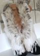 Wunderschöne Fell Weste Jacke Pelz Echtes Kaninchen Grau Pelzweste 36 - 42 Kleidung Bild 3
