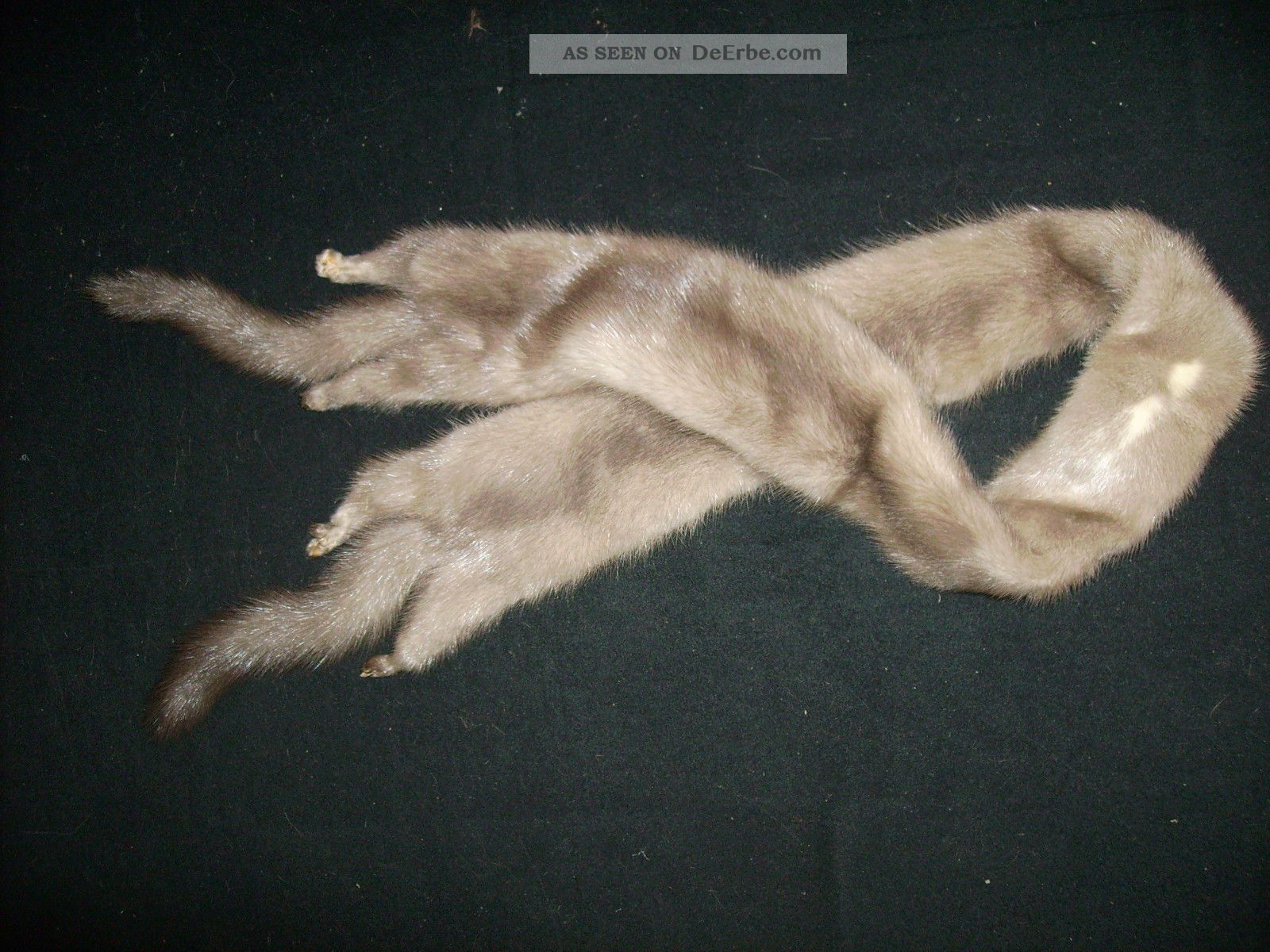 Nerz Echtpelz Fellkragen 1,  30m Lang Kleidung Bild