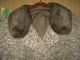 Kostüm Schurwolle Jacke Rock 50er Jahre Echter Fellkragen Kleidung Bild 1