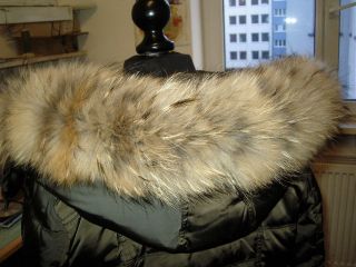 Pelz - Nerz - Pelzmantel - Pelzkragen - Pelzstreifen Finn Raccoon Bild