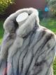 Kohinoor Saga Mink Nerz Mantel Sehr Edel - Größe Ca.  40 Bis 42 Kleidung Bild 9