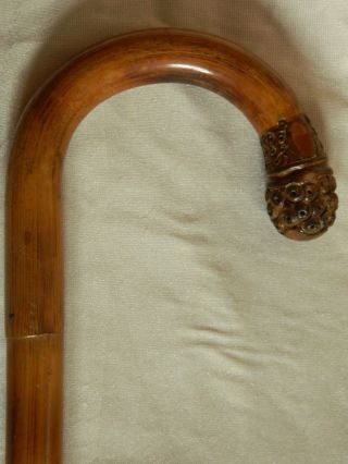 Spazierstock Gehstock Holz Mit Geschnitztem Griff Bambus Ca.  1910 China Asiatika Bild