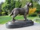 WunderschÖner Lebensechter Bronze Labrador Hund Auf Marmorsockel Bronze Bild 2