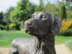 WunderschÖner Lebensechter Bronze Labrador Hund Auf Marmorsockel Bronze Bild 4