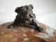 Kleine Art Deco Bronze Bully Bulldogge Hund Auf Marmorschale Um 1920 1920-1949, Art Déco Bild 3