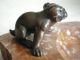 Kleine Art Deco Bronze Bully Bulldogge Hund Auf Marmorschale Um 1920 1920-1949, Art Déco Bild 5