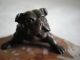 Kleine Art Deco Bronze Bully Bulldogge Hund Auf Marmorschale Um 1920 1920-1949, Art Déco Bild 6